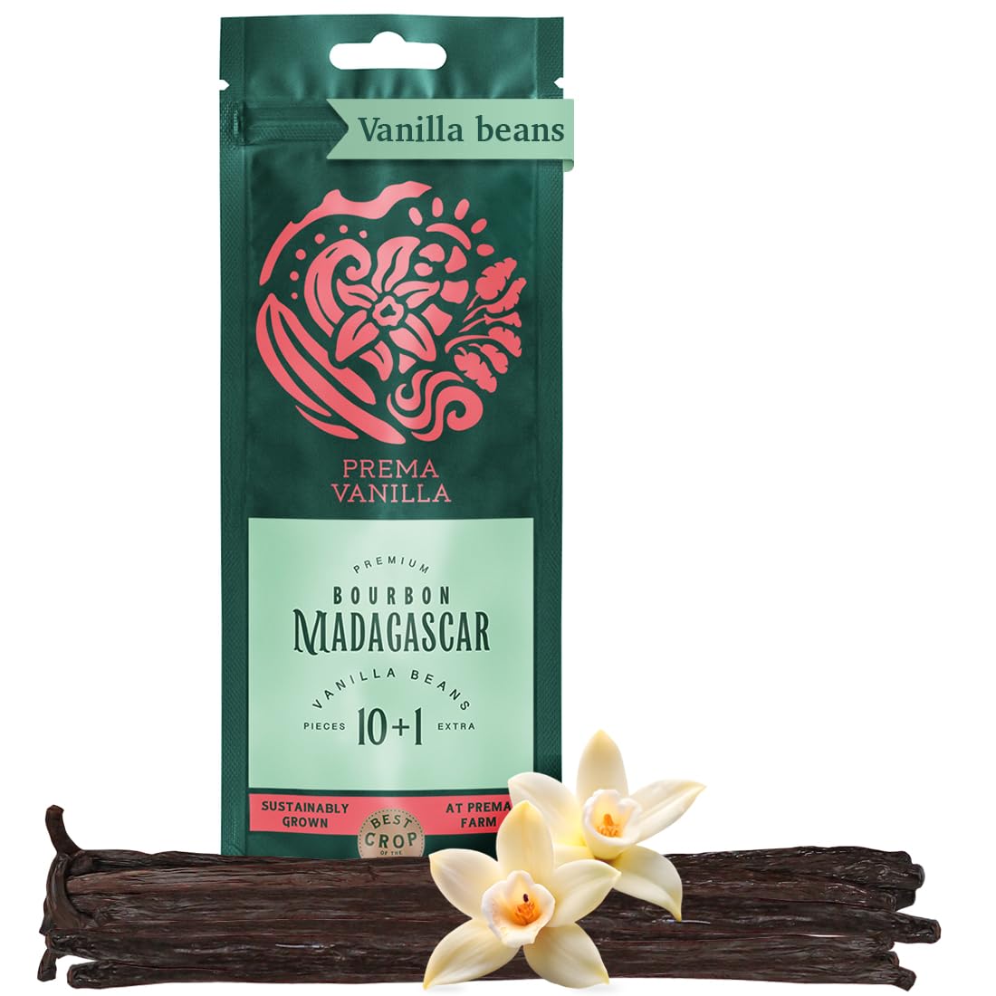 Gousses de vanille bio de Madagascar Gourmet (14-18 cm)