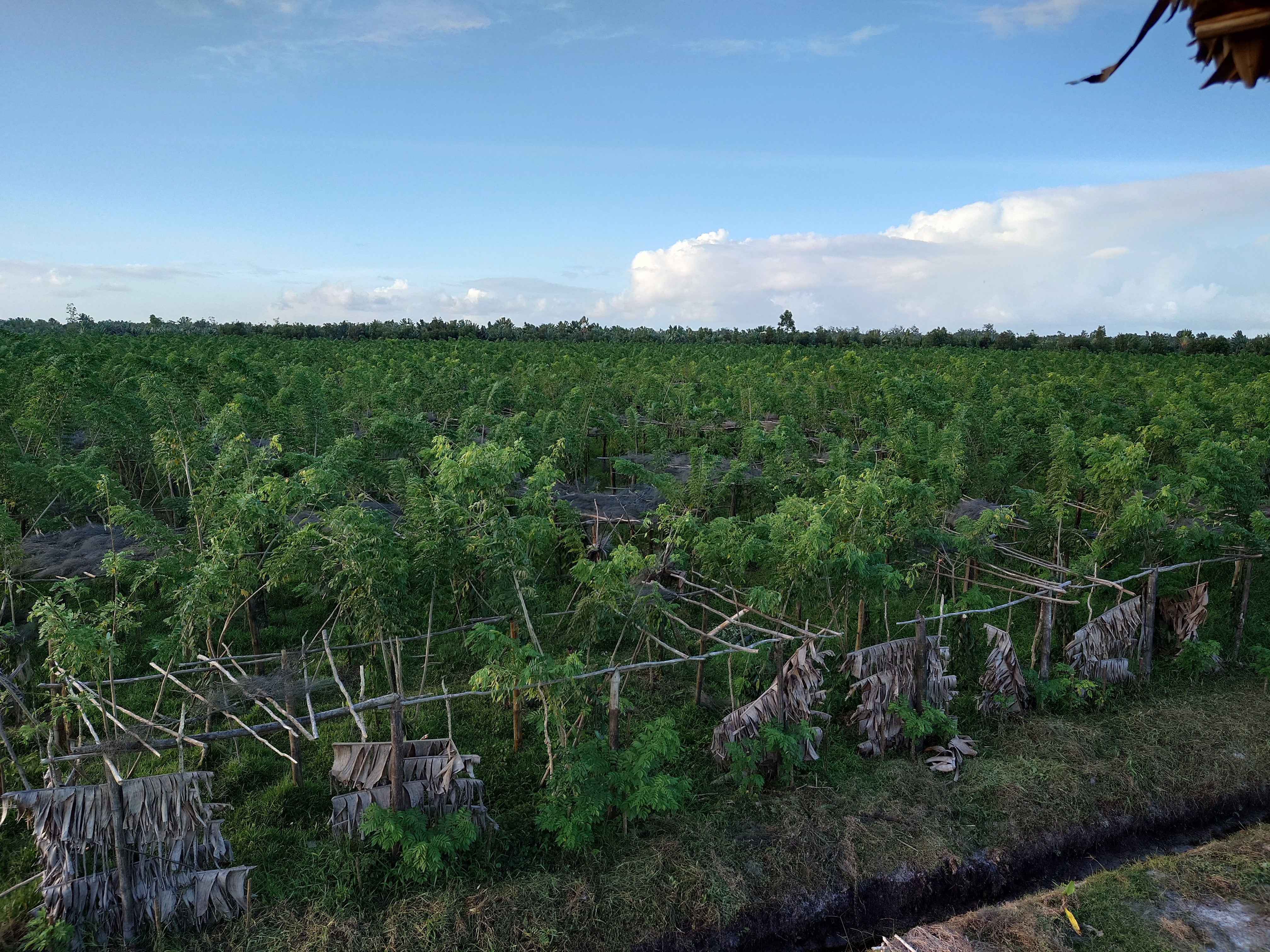 Pratiques agricoles durables