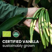 Gousses de vanille bio de Madagascar Gourmet (14-18 cm)