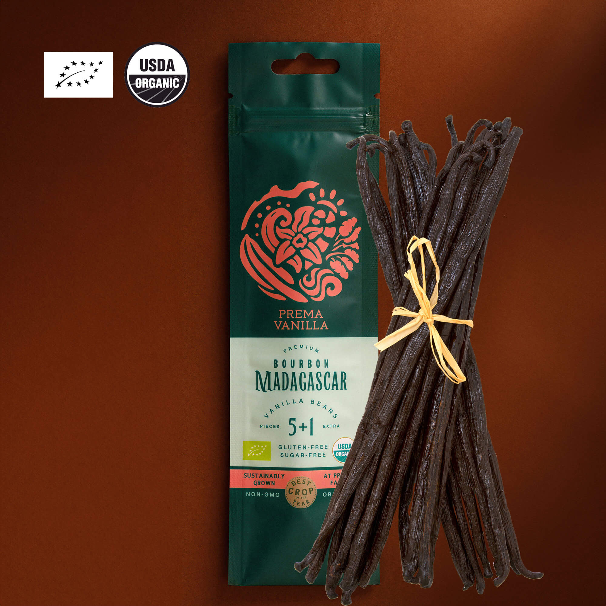 Gousses de vanille bio de Madagascar Gourmet (14-18 cm)